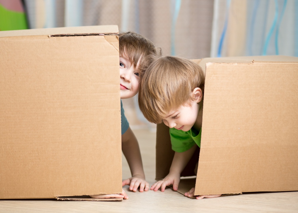 Child,And,Toddler,Brothers,Playing,In,Cardboard,Boxes